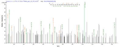 Based on the SEQUEST from database of Yeast host and target protein, the LC-MS/MS Analysis result of this product could indicate that this peptide derived from Yeast-expressed Epstein-Barr virus (strain Raji) (HHV-4) (Human herpesvirus 4) LMP1.Recombinant Epstein-Barr Virus Latent Membrane Protein 1 (LMP1) Protein (His)