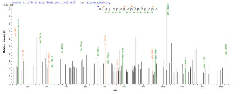 Based on the SEQUEST from database of Yeast host and target protein, the LC-MS/MS Analysis result of this product could indicate that this peptide derived from Yeast-expressed Epstein-Barr virus (strain Raji) (HHV-4) (Human herpesvirus 4) LMP1.Recombinant Epstein-Barr Virus Latent Membrane Protein 1 (LMP1) Protein (His)