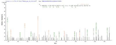 Based on the SEQUEST from database of Yeast host and target protein, the LC-MS/MS Analysis result of this product could indicate that this peptide derived from Yeast-expressed strain Mouse/Sierra Leone/Josiah/1976)(LASV) N.Recombinant Lassa Virus Nucleoprotein (N) Protein (His)