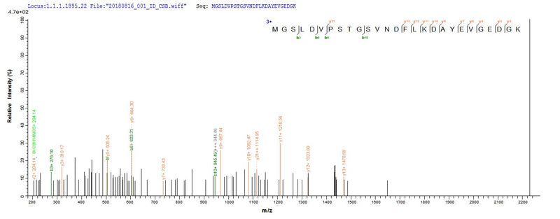 Based on the SEQUEST from database of Yeast host and target protein, the LC-MS/MS Analysis result of this product could indicate that this peptide derived from Yeast-expressed Schistosoma mansoni (Blood fluke) N/A.Recombinant Schistosoma Mansoni Major Egg Antigen Protein (His)