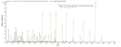Based on the SEQUEST from database of Yeast host and target protein, the LC-MS/MS Analysis result of this product could indicate that this peptide derived from Yeast-expressed Abrus precatorius (Indian licorice) (Glycine abrus) N/A.Recombinant Abrus Precatorius Abrin-A Protein (His)