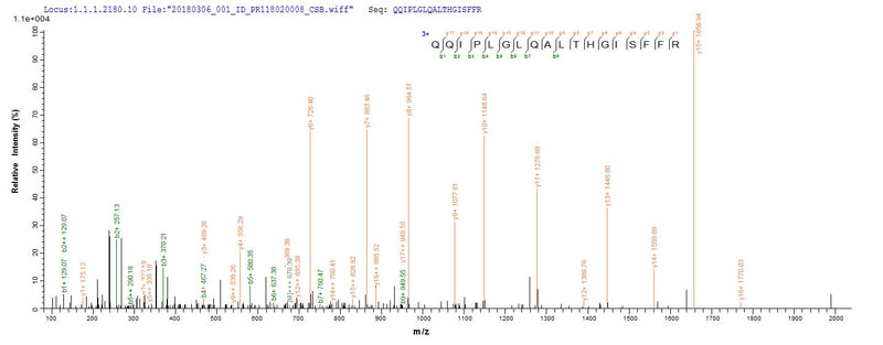 Based on the SEQUEST from database of Yeast host and target protein, the LC-MS/MS Analysis result of this product could indicate that this peptide derived from Yeast-expressed Abrus precatorius (Indian licorice) (Glycine abrus) N/A.Recombinant Abrus Precatorius Abrin-A Protein (His)