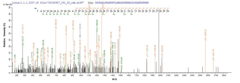 Based on the SEQUEST from database of Yeast host and target protein, the LC-MS/MS Analysis result of this product could indicate that this peptide derived from Yeast-expressed Moraxella bovis N/A.Recombinant Moraxella Bovis Fimbrial Protein 1 (TFPI) Protein (His-sumostar)