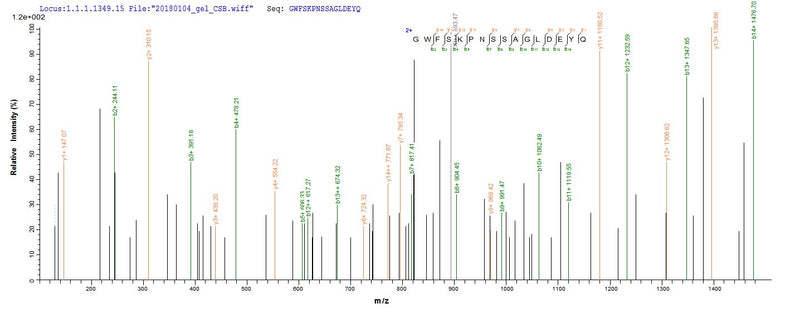 Based on the SEQUEST from database of Yeast host and target protein, the LC-MS/MS Analysis result of this product could indicate that this peptide derived from Yeast-expressed Aggregatibacter actinomycetemcomitans (Actinobacillus actinomycetemcomitans) (Haemophilus actinomycetemcomitans) ltxA.Recombinant Aggregatibacter Actinomycetemcomitans Leukotoxin (LTXA) Protein (His)