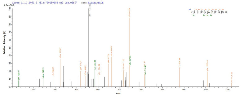 Based on the SEQUEST from database of Yeast host and target protein, the LC-MS/MS Analysis result of this product could indicate that this peptide derived from Yeast-expressed Aggregatibacter actinomycetemcomitans (Actinobacillus actinomycetemcomitans) (Haemophilus actinomycetemcomitans) ltxA.Recombinant Aggregatibacter Actinomycetemcomitans Leukotoxin (LTXA) Protein (His)