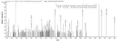 Based on the SEQUEST from database of Yeast host and target protein, the LC-MS/MS Analysis result of this product could indicate that this peptide derived from Yeast-expressed Bordetella pertussis (strain Tohama I / ATCC BAA-589 / NCTC 13251) fim3.Recombinant Bordetella Pertussis Serotype 3 Fimbrial Subunit (FIM3) Protein (His)
