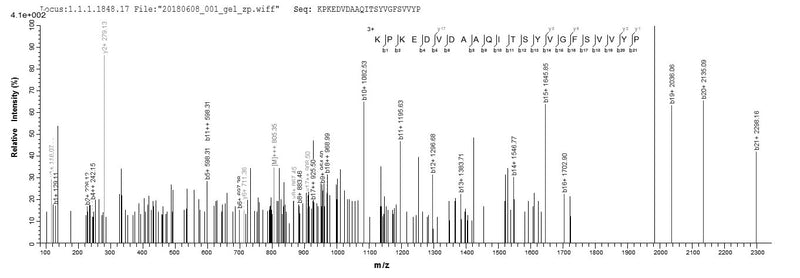 Based on the SEQUEST from database of Yeast host and target protein, the LC-MS/MS Analysis result of this product could indicate that this peptide derived from Yeast-expressed Bordetella pertussis (strain Tohama I / ATCC BAA-589 / NCTC 13251) fim3.Recombinant Bordetella Pertussis Serotype 3 Fimbrial Subunit (FIM3) Protein (His)