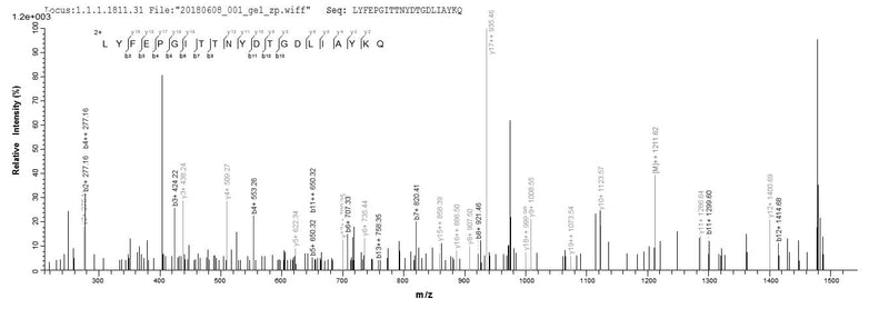 Based on the SEQUEST from database of Yeast host and target protein, the LC-MS/MS Analysis result of this product could indicate that this peptide derived from Yeast-expressed Bordetella pertussis (strain Tohama I / ATCC BAA-589 / NCTC 13251) fim3.Recombinant Bordetella Pertussis Serotype 3 Fimbrial Subunit (FIM3) Protein (His)