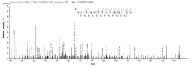 Based on the SEQUEST from database of Yeast host and target protein, the LC-MS/MS Analysis result of this product could indicate that this peptide derived from Yeast-expressed Vaccinia virus (strain Copenhagen) (VACV) A27L.Recombinant Vaccinia Virus 14 Kda Fusion Protein (A27L) Protein (His-sumostar)