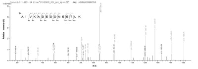 Based on the SEQUEST from database of Yeast host and target protein, the LC-MS/MS Analysis result of this product could indicate that this peptide derived from Yeast-expressed Vaccinia virus (strain Copenhagen) (VACV) A27L.Recombinant Vaccinia Virus 14 Kda Fusion Protein (A27L) Protein (His-sumostar)