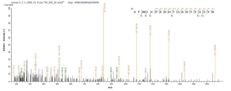 Based on the SEQUEST from database of Yeast host and target protein, the LC-MS/MS Analysis result of this product could indicate that this peptide derived from Yeast-expressed Ornithodoros moubata (Soft tick) (Argasid tick) Tick anticoagulant peptide.Recombinant Ornithodoros Moubata Tick Anticoagulant Peptide (TAP) Protein (His)