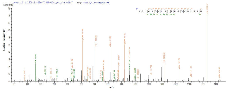 Based on the SEQUEST from database of Yeast host and target protein, the LC-MS/MS Analysis result of this product could indicate that this peptide derived from Yeast-expressed Escherichia coli (strain K12) phoP.