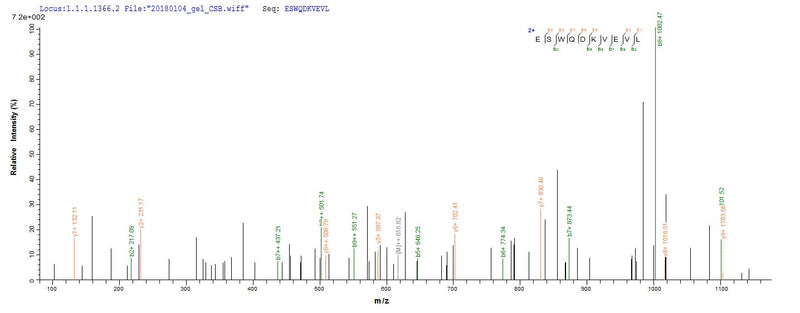 Based on the SEQUEST from database of Yeast host and target protein, the LC-MS/MS Analysis result of this product could indicate that this peptide derived from Yeast-expressed Escherichia coli (strain K12) phoP.