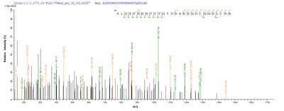 Based on the SEQUEST from database of Yeast host and target protein, the LC-MS/MS Analysis result of this product could indicate that this peptide derived from Yeast-expressed Salmonella typhimurium (strain LT2 / SGSC1412 / ATCC 700720) mglB.