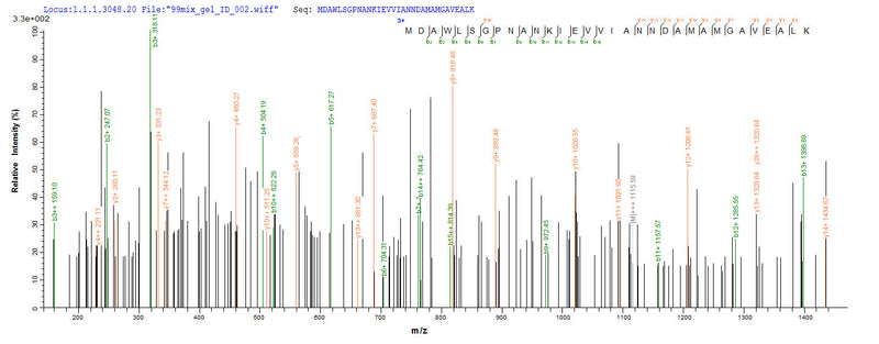 Based on the SEQUEST from database of Yeast host and target protein, the LC-MS/MS Analysis result of this product could indicate that this peptide derived from Yeast-expressed Salmonella typhimurium (strain LT2 / SGSC1412 / ATCC 700720) mglB.