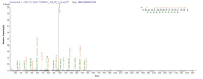 Based on the SEQUEST from database of Yeast host and target protein, the LC-MS/MS Analysis result of this product could indicate that this peptide derived from Yeast-expressed Saccharomyces cerevisiae (strain ATCC 204508 / S288c) (Baker's yeast) ECM31.Recombinant Saccharomyces Cerevisiae 3-Methyl-2-Oxobutanoate Hydroxymethyltransferase (ECM31) Protein (His&Myc)