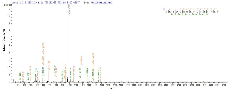 Based on the SEQUEST from database of Yeast host and target protein, the LC-MS/MS Analysis result of this product could indicate that this peptide derived from Yeast-expressed Saccharomyces cerevisiae (strain ATCC 204508 / S288c) (Baker&Recombinant Saccharomyces Cerevisiae 3-Methyl-2-Oxobutanoate Hydroxymethyltransferase (ECM31) Protein (His&Myc)