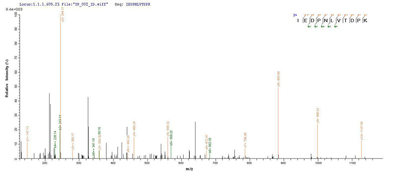 Based on the SEQUEST from database of Yeast host and target protein, the LC-MS/MS Analysis result of this product could indicate that this peptide derived from Yeast-expressed Salmonella typhimurium (strain LT2 / SGSC1412 / ATCC 700720) prgJ.