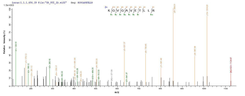 Based on the SEQUEST from database of Yeast host and target protein, the LC-MS/MS Analysis result of this product could indicate that this peptide derived from Yeast-expressed Salmonella typhimurium (strain LT2 / SGSC1412 / ATCC 700720) prgJ.