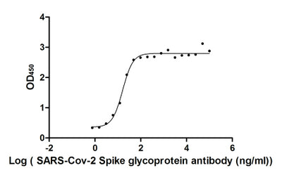 Activity Measured by its binding ability in a functional ELISA. Immobilized SARS-CoV-2-S1-RBD at 2 μg/ml can bind SARS-CoV-2-S Antibody , the EC 50 of SARS-CoV-2-S1-RBD protein is 13.48-19.50 ng/ml. Biological Activity Assay