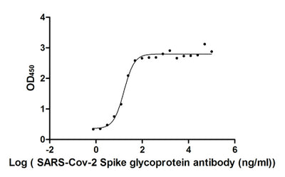 Activity Measured by its binding ability in a functional ELISA. Immobilized SARS-CoV-2-S1-RBD at 2 μg/ml can bind SARS-CoV-2-S Antibody , the EC 50 of SARS-CoV-2-S1-RBD protein is 13.48-19.50 ng/ml. Biological Activity AssayRecombinant Sars-Cov-2 Spike Glycoprotein (S) Protein (His-sumostar), Active