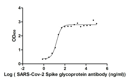 Activity Measured by its binding ability in a functional ELISA. Immobilized SARS-CoV-2-S1-RBD at 2 μg/ml can bind SARS-CoV-2-S Antibody , the EC 50 of SARS-CoV-2-S1-RBD protein is 13.48-19.50 ng/ml. Biological Activity AssayRecombinant Sars-Cov-2 Spike Glycoprotein (S) Protein (His-sumostar), Active