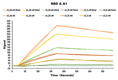 Activity SARS-CoV-2 Spike protein RBD His/Sumostar Tag  captured on COOH chip can bind SARS-CoV-2 Spike RBD Nanobody  with an affinity constant of 28.2nM as detected by LSPR Assay. Biological Activity AssayRecombinant Sars-Cov-2 Spike Glycoprotein (S) Protein (His-sumostar), Active