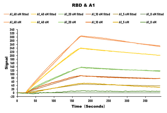 Activity SARS-CoV-2 Spike protein RBD His/Sumostar Tag  captured on COOH chip can bind SARS-CoV-2 Spike RBD Nanobody  with an affinity constant of 28.2nM as detected by LSPR Assay. Biological Activity AssayRecombinant Sars-Cov-2 Spike Glycoprotein (S) Protein (His-sumostar), Active