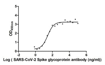 Activity Measured by its binding ability in a functional ELISA. Immobilized SARS-CoV-2-S1-RBD at 2 μg/ml can bind SARS-CoV-2-S Antibody , the EC 50 of SARS-CoV-2-S1-RBD protein is 19.60-39.42 ng/ml. Biological Activity Assay