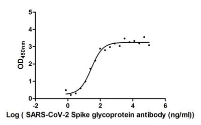 Activity Measured by its binding ability in a functional ELISA. Immobilized SARS-CoV-2-S1-RBD at 2 μg/ml can bind SARS-CoV-2-S Antibody , the EC 50 of SARS-CoV-2-S1-RBD protein is 19.60-39.42 ng/ml. Biological Activity AssayRecombinant Sars-Cov-2 Spike Glycoprotein (S) Protein (His-sumostar), Active