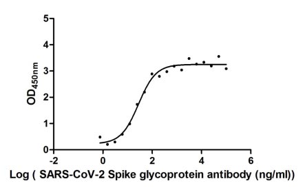 Activity Measured by its binding ability in a functional ELISA. Immobilized SARS-CoV-2-S1-RBD at 2 μg/ml can bind SARS-CoV-2-S Antibody , the EC 50 of SARS-CoV-2-S1-RBD protein is 19.60-39.42 ng/ml. Biological Activity AssayRecombinant Sars-Cov-2 Spike Glycoprotein (S) Protein (His-sumostar), Active