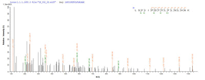 Based on the SEQUEST from database of Yeast host and target protein, the LC-MS/MS Analysis result of this product could indicate that this peptide derived from Yeast-expressed Gardnerella vaginalis 5-1 GV51_0914.Recombinant Gardnerella Vaginalis 5-1 Site-Specific Dna-Methyltransferase Protein (His)