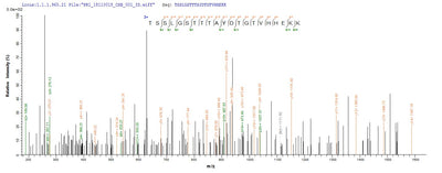 Based on the SEQUEST from database of Yeast host and target protein, the LC-MS/MS Analysis result of this product could indicate that this peptide derived from Yeast-expressed Arabidopsis thaliana (Mouse-ear cress) XERO1.Recombinant Arabidopsis Thaliana Dehydrin Xero 1 (XERO1) Protein (His)
