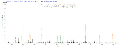 Based on the SEQUEST from database of Yeast host and target protein, the LC-MS/MS Analysis result of this product could indicate that this peptide derived from Yeast-expressed Hirudo nipponia (Korean blood-sucking leech) Guamerin.