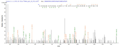 Based on the SEQUEST from database of Yeast host and target protein, the LC-MS/MS Analysis result of this product could indicate that this peptide derived from Yeast-expressed Hirudo nipponia (Korean blood-sucking leech) Guamerin.