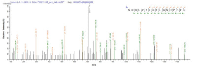 Based on the SEQUEST from database of Yeast host and target protein, the LC-MS/MS Analysis result of this product could indicate that this peptide derived from Yeast-expressed Vespula vulgaris (Yellow jacket) (Wasp) N/A.Recombinant Vespula Vulgaris Phospholipase A1 (PLA1) Protein (Myc&His)