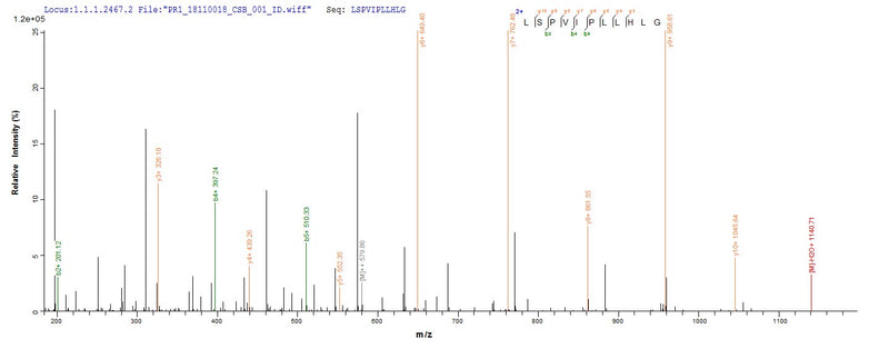 Based on the SEQUEST from database of Yeast host and target protein, the LC-MS/MS Analysis result of this product could indicate that this peptide derived from Yeast-expressed Bos taurus (Bovine) CATHL6.Recombinant Bovine Cathelicidin-6 (CATHL6) Protein (His-sumostar)