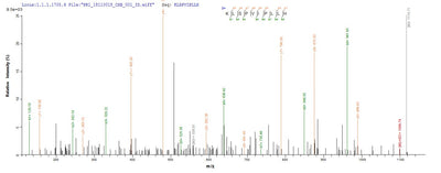 Based on the SEQUEST from database of Yeast host and target protein, the LC-MS/MS Analysis result of this product could indicate that this peptide derived from Yeast-expressed Bos taurus (Bovine) CATHL6.Recombinant Bovine Cathelicidin-6 (CATHL6) Protein (His-sumostar)