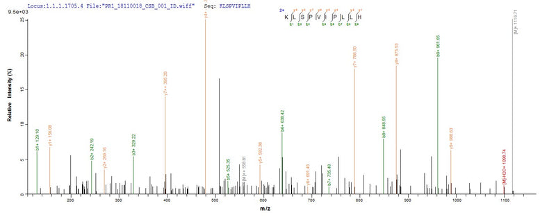 Based on the SEQUEST from database of Yeast host and target protein, the LC-MS/MS Analysis result of this product could indicate that this peptide derived from Yeast-expressed Bos taurus (Bovine) CATHL6.Recombinant Bovine Cathelicidin-6 (CATHL6) Protein (His-sumostar)