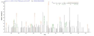 Based on the SEQUEST from database of Yeast host and target protein, the LC-MS/MS Analysis result of this product could indicate that this peptide derived from Yeast-expressed Anemonia sulcata (Mediterranean snakelocks sea anemone) Delta-actitoxin-Avd1c.
