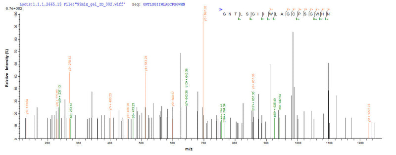 Based on the SEQUEST from database of Yeast host and target protein, the LC-MS/MS Analysis result of this product could indicate that this peptide derived from Yeast-expressed Anemonia sulcata (Mediterranean snakelocks sea anemone) Delta-actitoxin-Avd1c.