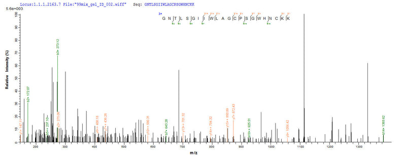 Based on the SEQUEST from database of Yeast host and target protein, the LC-MS/MS Analysis result of this product could indicate that this peptide derived from Yeast-expressed Anemonia sulcata (Mediterranean snakelocks sea anemone) Delta-actitoxin-Avd1c.