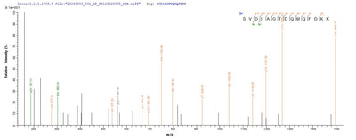 Based on the SEQUEST from database of Yeast host and target protein, the LC-MS/MS Analysis result of this product could indicate that this peptide derived from Yeast-expressed Bordetella bronchiseptica (strain ATCC BAA-588 / NCTC 13252 / RB50) (Alcaligenes bronchisepticus) BB3856.