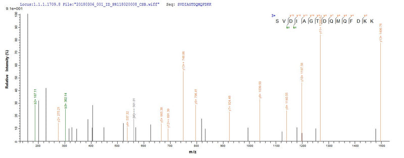 Based on the SEQUEST from database of Yeast host and target protein, the LC-MS/MS Analysis result of this product could indicate that this peptide derived from Yeast-expressed Bordetella bronchiseptica (strain ATCC BAA-588 / NCTC 13252 / RB50) (Alcaligenes bronchisepticus) BB3856.