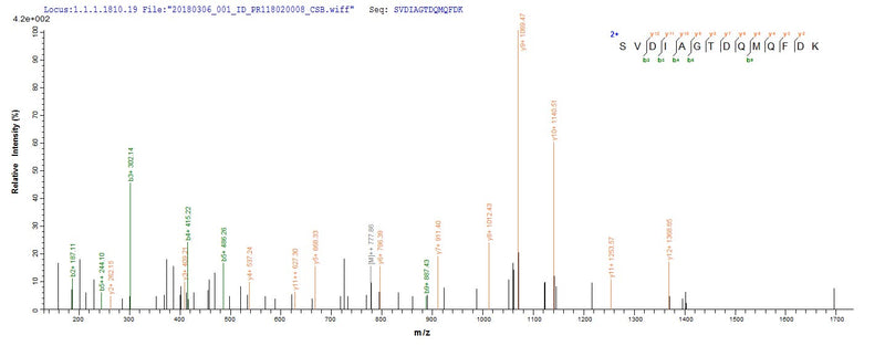 Based on the SEQUEST from database of Yeast host and target protein, the LC-MS/MS Analysis result of this product could indicate that this peptide derived from Yeast-expressed Bordetella bronchiseptica (strain ATCC BAA-588 / NCTC 13252 / RB50) (Alcaligenes bronchisepticus) BB3856.