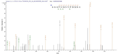 Based on the SEQUEST from database of Yeast host and target protein, the LC-MS/MS Analysis result of this product could indicate that this peptide derived from Yeast-expressed Human papillomavirus type 18 E2.