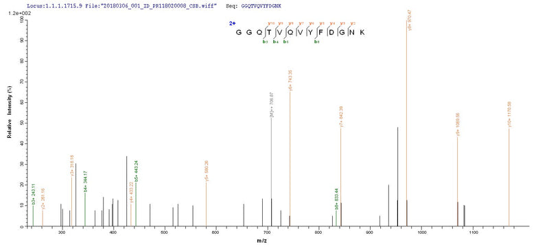Based on the SEQUEST from database of Yeast host and target protein, the LC-MS/MS Analysis result of this product could indicate that this peptide derived from Yeast-expressed Human papillomavirus type 18 E2.