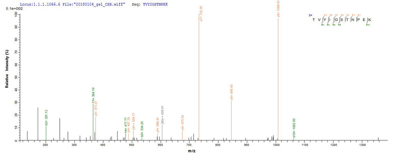 Based on the SEQUEST from database of Yeast host and target protein, the LC-MS/MS Analysis result of this product could indicate that this peptide derived from Yeast-expressed Bos taurus (Bovine) N/A.Recombinant Bovine Odorant-Binding Protein (OBP)