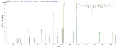 Based on the SEQUEST from database of Yeast host and target protein, the LC-MS/MS Analysis result of this product could indicate that this peptide derived from Yeast-expressed Bos taurus (Bovine) N/A.Recombinant Bovine Odorant-Binding Protein (OBP)