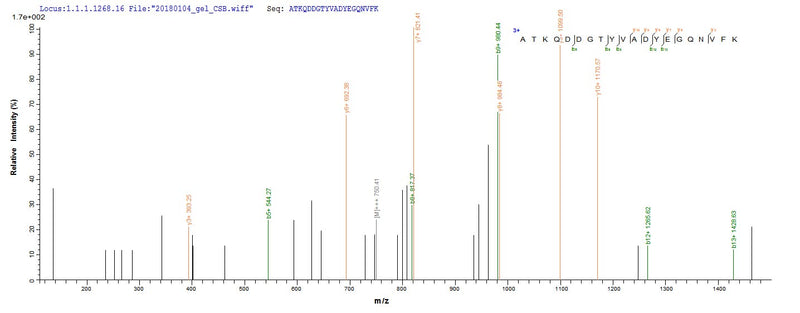 Based on the SEQUEST from database of Yeast host and target protein, the LC-MS/MS Analysis result of this product could indicate that this peptide derived from Yeast-expressed Bos taurus (Bovine) N/A.Recombinant Bovine Odorant-Binding Protein (OBP)